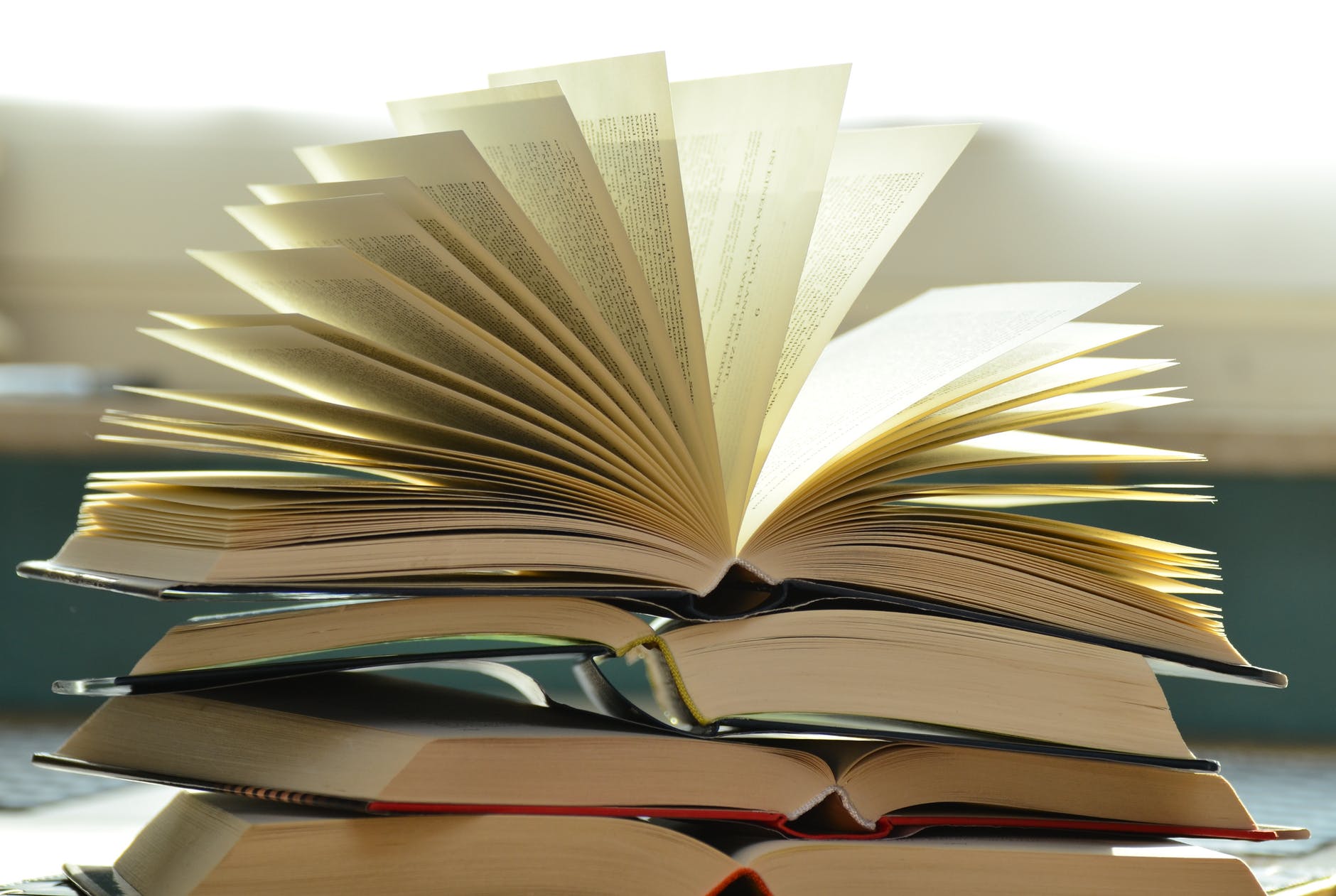 10 Best Formats for your Company History Book