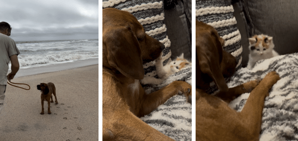 Created and used by: The Writers for Hire, Inc