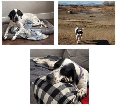 Used & created by: The Writers for Hire, Inc